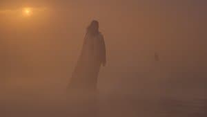 La sangre corre por las venas