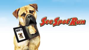 Spot — foto 4