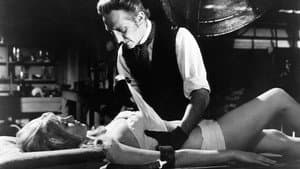 Y Frankenstein creó a la mujer — foto 11