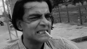 চিড়িয়াখানা — foto 4