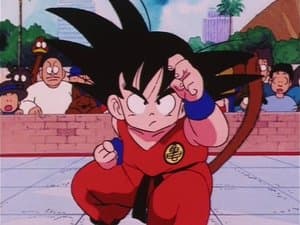 Las técnicas secretas Tay yu ken contra el poder de combate
