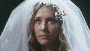Hochzeitsnacht-Report — foto 1