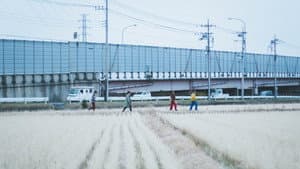 北⾵だったり、太陽だったり — foto 1