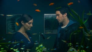 La vida de los peces — foto 1