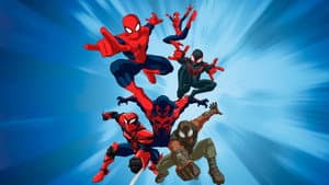 Ultimate Spider-Man — foto 5