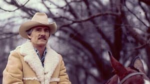 McCloud — foto 8