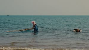 蓝海 — foto 1