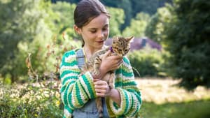 Mon chat et moi, la grande aventure de Rroû — foto 5