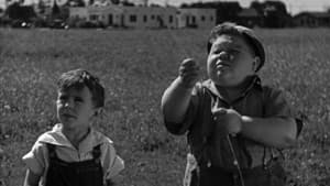 Fly My Kite — foto 2