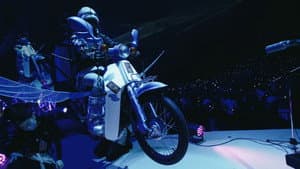 ZUTOMAYO 本格中華喫茶・愛のペガサス ~羅武の香辛龍~ — foto 4