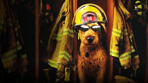 El Perro Bombero — foto 10