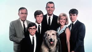My Three Sons — foto 2