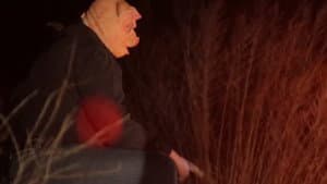 Pig Man — foto 2