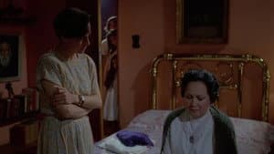 El secreto de Romelia — foto 3