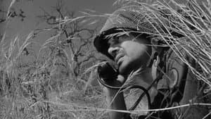 Men in War — foto 4