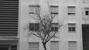 Vulneráveis — foto 2