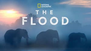 The Flood — foto 2