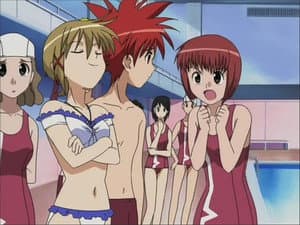 Episodio 14