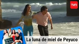La luna de miel de Peyuco