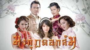 มงกุฎดอกส้ม — foto 3