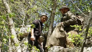 Episodio 8