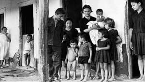 A Família de Elizabeth Teixeira — foto 1
