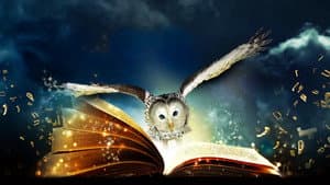 Magia más allá de las palabras — foto 9