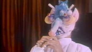 Star Babe — foto 3