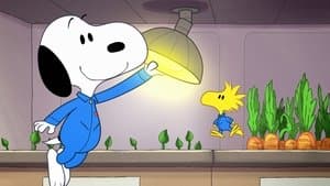Misión 5: Nunca te prometí un jardín espacial