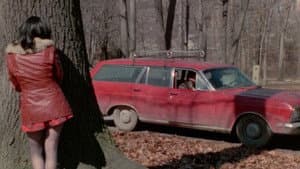 Abduction of an American Playgirl — foto 3