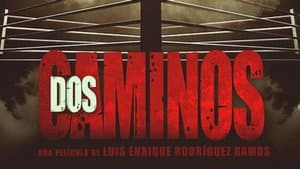 Dos caminos — foto 1