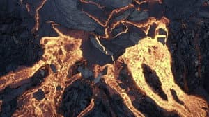 Terre, Les Forces du Vivant — foto 2