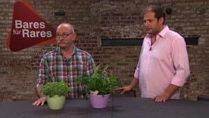 Episodio 74