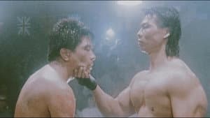 Bloodfight — foto 2