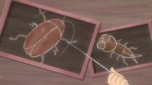 Episodio 29