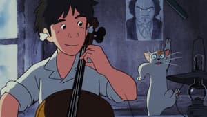 Goshu, el violoncelista — foto 9