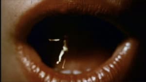 Alice in Acidland — foto 4