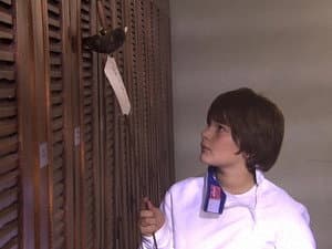 Episodio 56