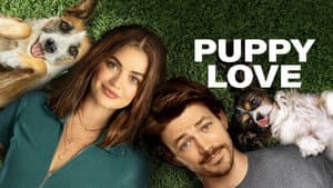 Amor De Cachorros — foto 2