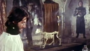 Frankenstein : Une histoire d'amour — foto 12