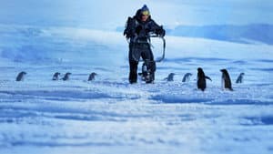 Penguins: Life on the Edge — foto 3