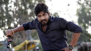 தெற்கத்தி வீரன் — foto 2