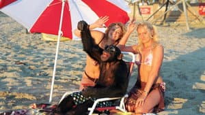 Funky Monkey — foto 6