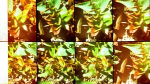 Jardines — foto 1