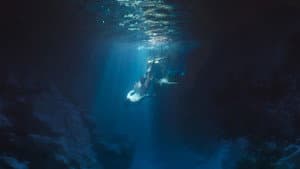 Lover Merman — foto 6