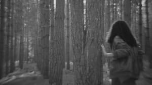 Wayfaring Stranger — foto 1