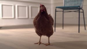 L’occhio della Gallina — foto 1