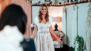 Christmas Wedding Planner — foto 7