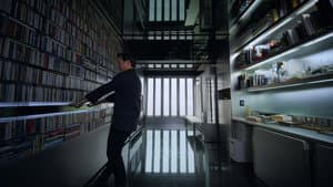 Hong Kong: El transformador doméstico