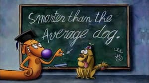 Más Inteligente Que el Perro Promedio